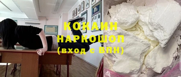 гашик Ладушкин