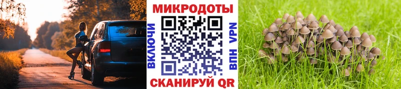 наркотики  Людиново  Галлюциногенные грибы мухоморы 